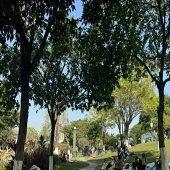 �����˶�����������