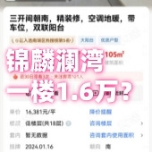 �������廹�������