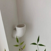 �����ô�ڳ�