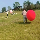 ���꺢�Ӿ����ھ�