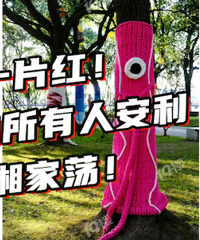 �ö�Ư��С��������գ�