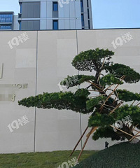 ������һ�ߣ������������ڼ��˵ı����Ŀ�������������۳�������