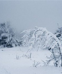 �������Ͽ�ʼ�� ���Ƕ�����ô�����Ӱ��ŵģ�