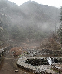 ���ٿ쵽�� ������ô�� ��֪����Ҷ�����ô���ԼҺ��Ӽƻ���