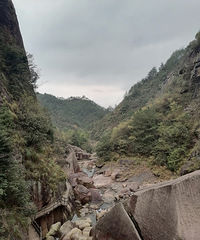 ���ٿ쵽�� ������ô�� ��֪����Ҷ�����ô���ԼҺ��Ӽƻ���