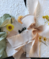 ���һ���³�̱�����ʿ����������ֿ�ѧǰ����ҵ�ĸо�