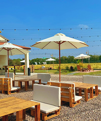 ����Ҳ���Լ��ĵ��￧�ȣ���Χ�е��컨��