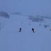 ��������ҵĶ���