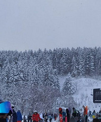 ��������ҵĶ��죡98��С����������飡