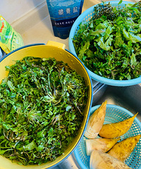 Ұζ��Ѱ�����������������⽡��Ͷ���Ƕ�� ����ʵ�üë�ˣ�