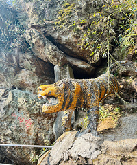 �¸������������磡��������ͽ������ϻ��� ȫ�Ƕ���Ұ·��