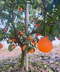 ժˣ˵аˣٽĶ߲ɱ߳ԣ