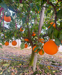 ժˣ˵аˣٽĶ߲ɱ߳ԣ