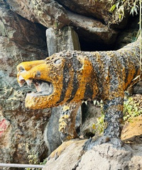 ͽ����������ϻ��� С��������7����