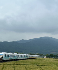 奉化西坞李师村 麦田小火车火出圈 适合自驾