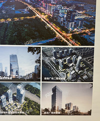 OH����Ԫɭ��Ҫ���������ˣ���