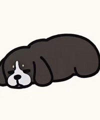 ������ȫ�Ҷ����Ұѹ������ߣ������᲻��