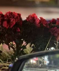 92�걾�ض̻�δ��˧С���Ծ�