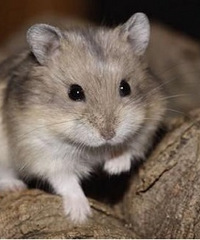 Ů�����һ�3000Ԫ��10Ԫ��Ĳ���