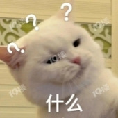 �ǲ���Ҫ�ܿ���ƱС��