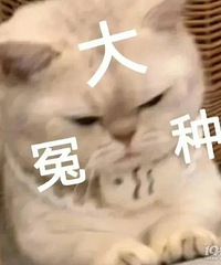 Ƿ��������������ǷǮһֱ������������Ҳ���������