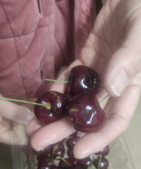 ˮ���г�������ҪС�ģ��õģ�ù�ģ���ԩ�־����Ұ���