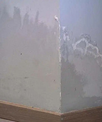 ����һ��С��������ˮ�������ǲ���̥�����ë����