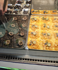 ����ѧԺ�ſڵ�����������ľ޾޾޺óԣ�����һ�ξ�������...