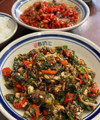 ������������İٳԲ��ᣡÿ��ȥ������...�޵кóԣ�