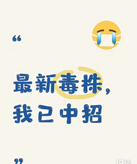 ���ڵĲ������ͣ�