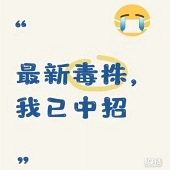 ���ڵĲ������ͣ�