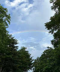 ���ӿ��Ų�ȥ����Ȥ�� ��Ҫ���������