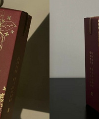 �ᷢ�������ʽϲ�ǺУ���Լ������