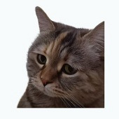 ���ӵ���ѧһֱ������