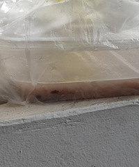 �������������������