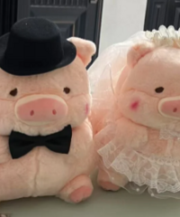 �Ǵ�ͳ��ѹ������ �������ֿɿɰ����ģ�