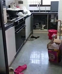 ��װ�޵��¼��������Σ�Ůҵ����ޣ���ʦ��¥��14������