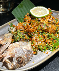 �����ƹ������컨����ı�̫�ó��ˣ�