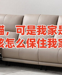 ��è�ˣ��ҵ�Ƥ��ɳ������ô�죿