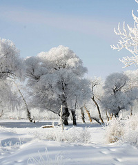 ��ѧ��������Ѹ����ٺ��ʣ����Ӻ���˵Ҫ��ȥ���� ��֧����