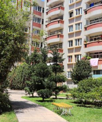 ���Ӷ���˿���һ���˶�����¥��ˣ��