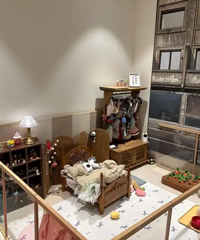 后续来啦!我想在书房挪一部分做个狗屋,但我老公想做客卧!