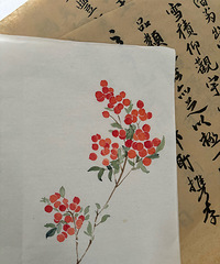 【精选】这几年唯有热爱一路相伴