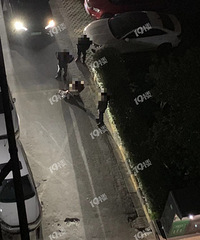 Ů˾����С����ײ��ҵ���ĳ��ﹷ������ûǣ����զ�⣿