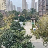 ��ĸӰ��������Ʒ��