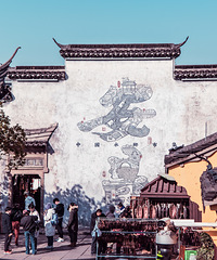 一座多肉的古镇——安昌!门票免费!浙江最“低调”的古镇!