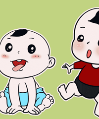 ���2024���������������ֳ�¯ ����������Щ���ֵ�����