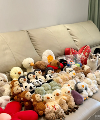 ������������+ä�У����������ֳ�����