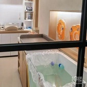 ȥ�����������������