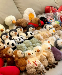 �ҵĻ����������ֳ����ޣ�